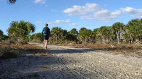 Man Walking Away From Camera on Florida Hiking Trail Stock Footage 171949109