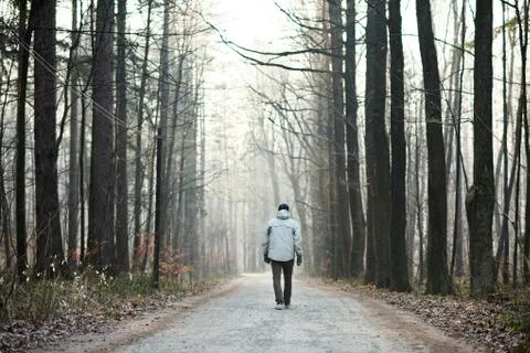 Man walking away down road between trees in winter forest Stock Photos