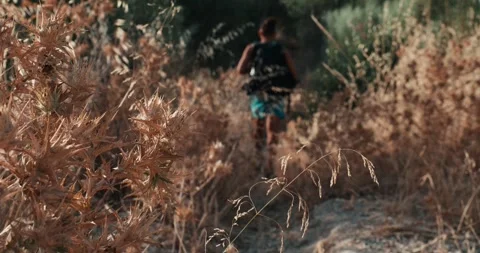 Man walking away on dry overgrown path through thorny vegetation at golden .. Stock Footage 340995569
