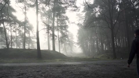 Man walking away on path through misty forest Stock Footage 293082695