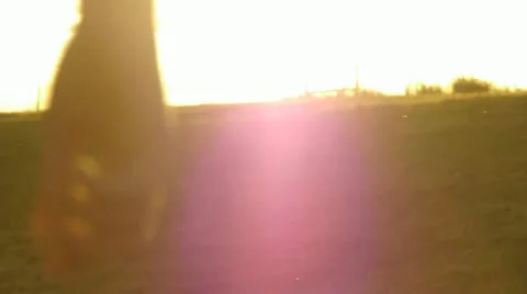 Man Walking Away, Slow Motion Video stock 12531684