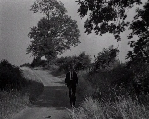Man walking back home from cattle auction after selling his animals, UK 1944 Stock Footage 136675356