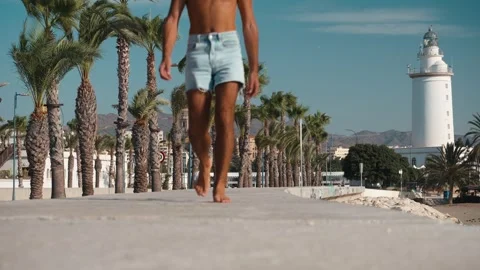 Man walking barefoot on sunny palm-lined path, embracing coastal freedom an.. Stock Footage 344059347