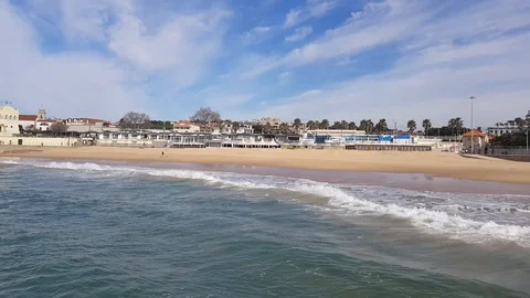 Man walking on the beach with a dog 動画素材 103611927