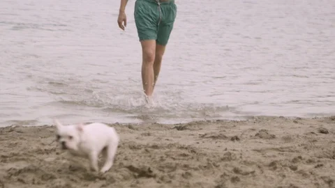 Man Walking Beach With Dog Stock Footage 127036071