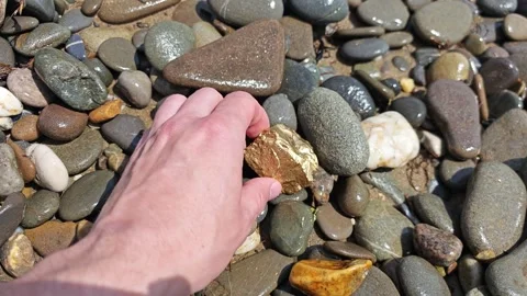Man Walking on Beach Finding Gold Nugget Stock Footage 317191561