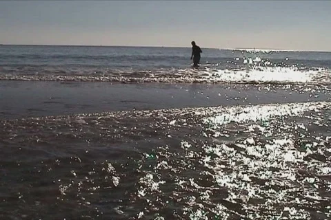 Man walking on beach Stock Footage 116285