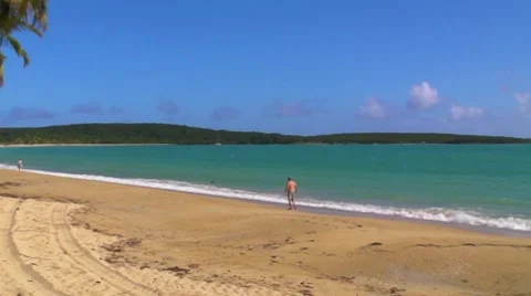 Man walking on beach Stock Footage 7732237