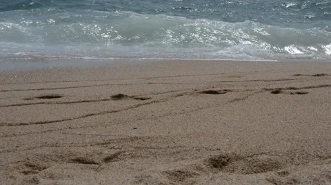 Man Walking On The Beach 库存影片 43225506