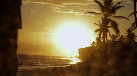Man walking on the beach. Stock Footage 48148780