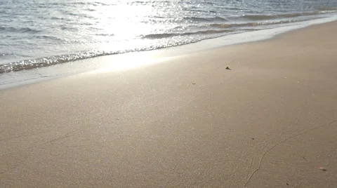 Man walking on the beach Stock Footage 50203982