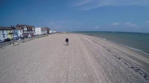 Man walking on the beach Stock Footage 63808475