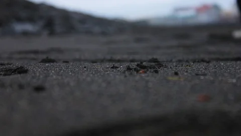 A man walking on the beach Stock Footage 94147633