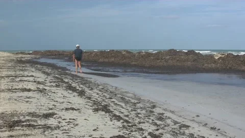 Man Walking On The Beach Stock Footage 219411214