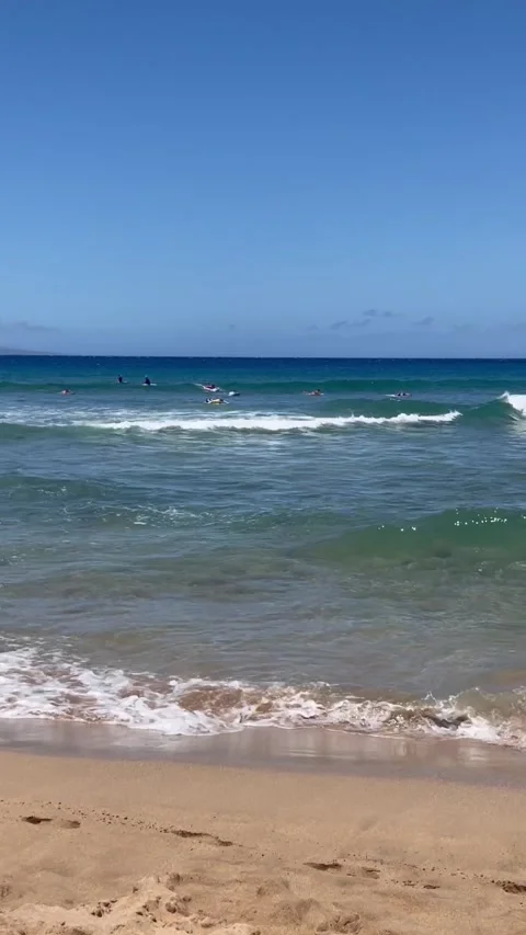 Man walking on the beach Stock Footage 236261183