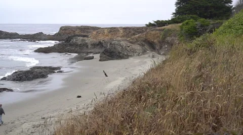 Man walking  on beach by ocean on overcast day Stock Footage 67877596