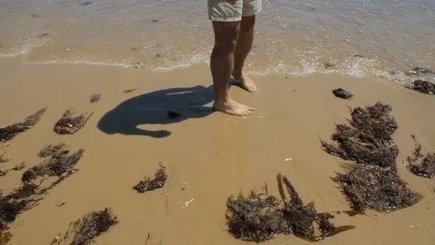 Man walking on beach on sand, legs Stock Footage 114611101