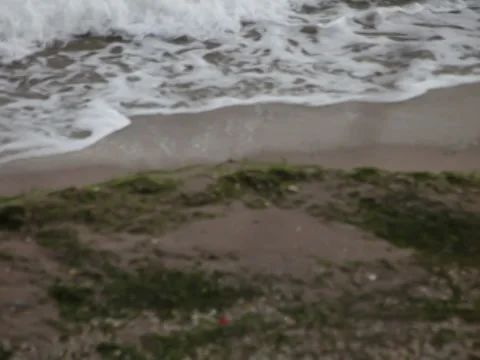 Man walking beach shore Stock Footage 38914471
