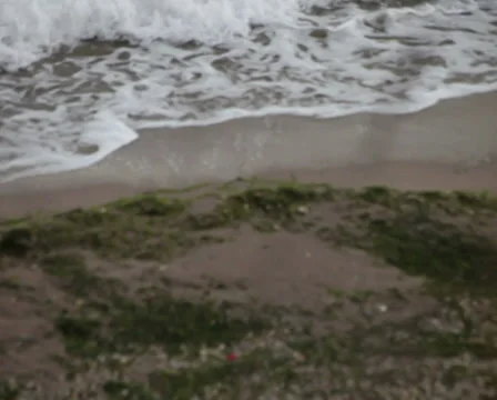 Man walking beach shore Stock Footage 38914491