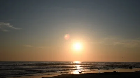 Man walking on a beach at sunset Video stock 90467422