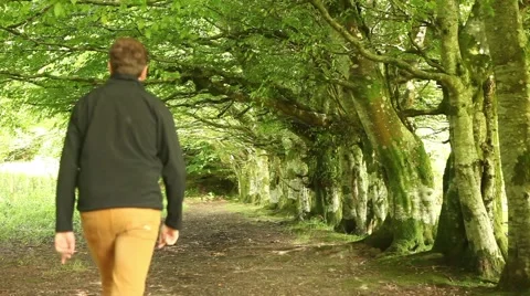 Man walking on beautiful forest, big trees 스톡 동영상 45073291