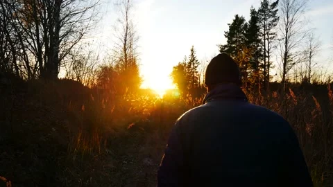 Man walking in Beautiful Sunset surrounded by Shiny Reed, Autumn Forest Vídeo Stock 135929360