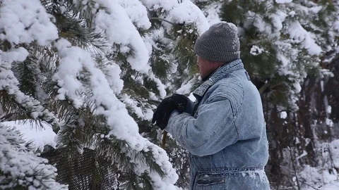 Man walking in beautiful winter landscape Видео 70209535