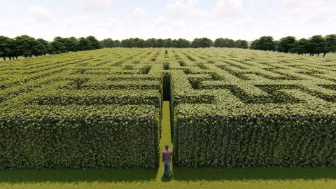 Man walking into the big labyrinth 스톡 일러스트