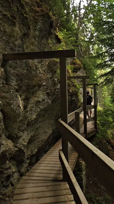 Man Walking on Bisse du Ro Cliffside Trail in Switzerland Stock Footage 342752588