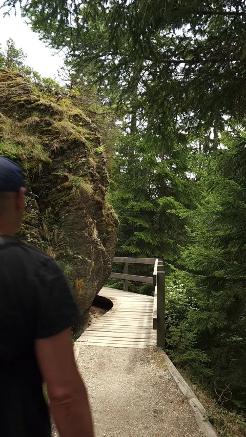 Man Walking on Bisse du Ro Cliffside Trail in Switzerland Stock Footage 343507425