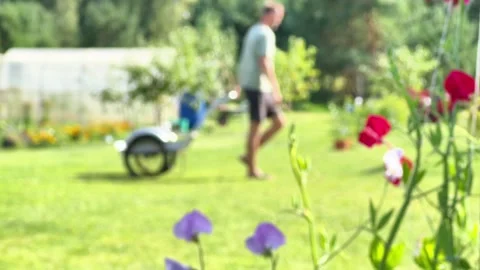 Man Walking in Blurred Backyard Garden Behind Colorful Blooming Flowers Stock Footage 344054639