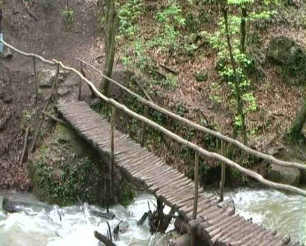 Man walking bridge Stock Footage 485807