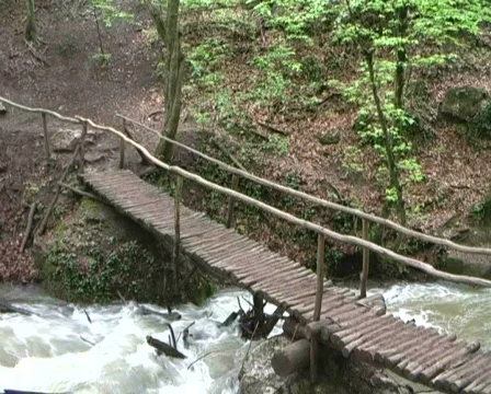 Man walking bridge Stock Footage 485830
