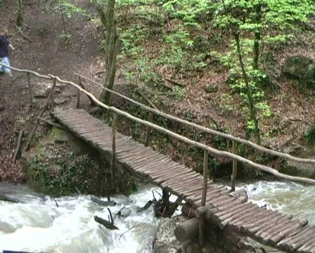 Man walking bridge Stock Footage 485841