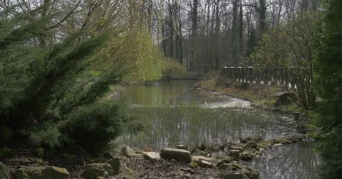 Man Walking on Bridge on Weekends and Stops Springtime Small River With Stony Stock Footage 61901755