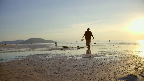 Man walking with bucket on beach Stock Footage 74778842