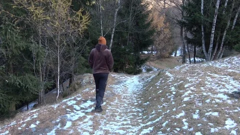 Man walking in bush 4k Vidéo 84039947