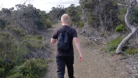 Man walking on a bush track Stock Footage 110892653