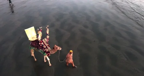 Man walking a camel at the beach. Stock Footage 92241189