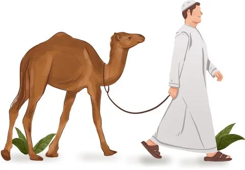 A man is walking with a camel on a leash Stock Illustration