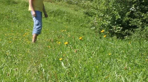 Man walking on camera in alpine meadow Stock Footage 8989520