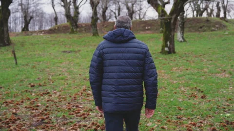 Man walking in a chestnut forest in winter. Monti Alburni, Cilento Video stock 267898800