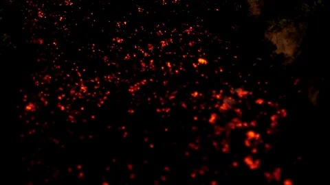 Man walking on coals Stock Footage 80149160