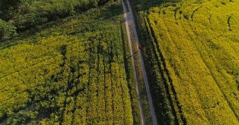 Man walking on a countyside road, C4K aerial view above a male hiking between Stock Footage 92821692