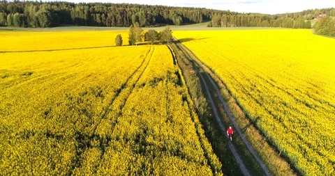 Man walking on a countyside road, C4K aerial view following around a boy hiki Stock Footage 92829033
