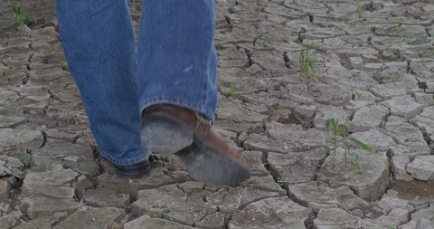 Man walking on cracked ground Stock Footage 89783174