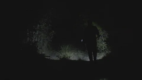 Man walking on a dark forest 動画素材 127481995