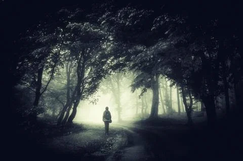 Man walking on dark forest path. Surreal landscape with trees in mist Stock-Fotos