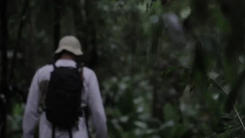Man walking in the deep forest Stock Footage