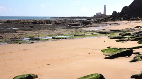 Man walking with a dog on the beach. Video stock 64547031